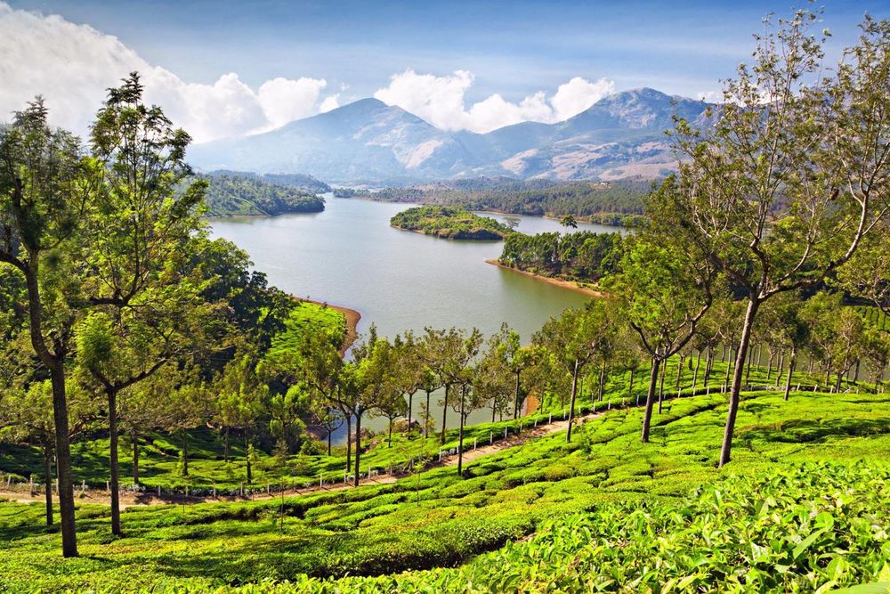 large_munnar-kerala-india-shutterstock_108346949_1f8da1cae0